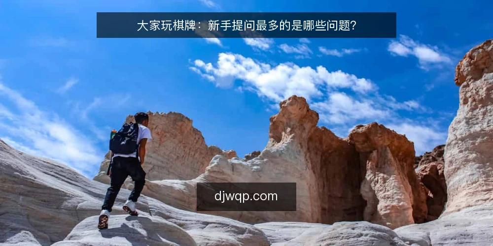 大家玩棋牌:新手提问最多的是哪些问题? — 新手入局前要确认哪些基本规则? 配图