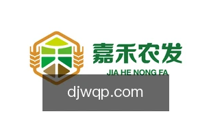 大家玩棋牌